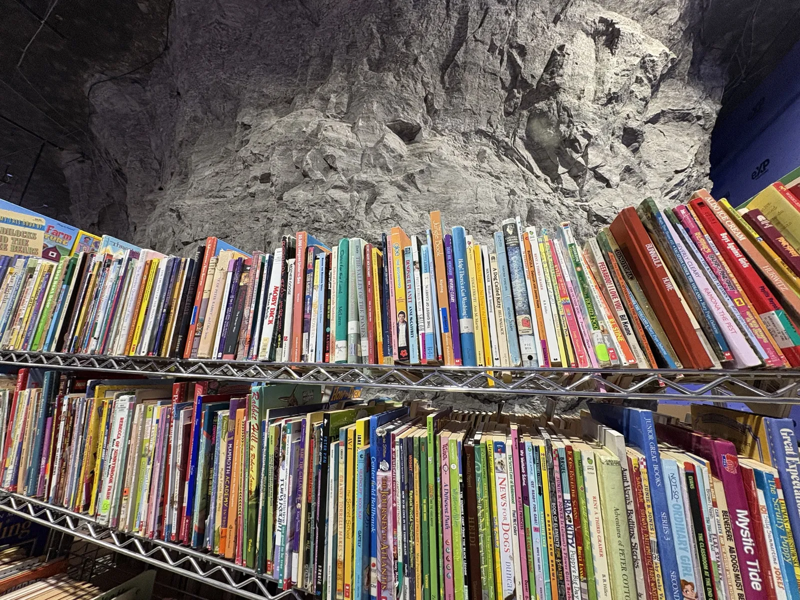 Shelves of colorful used children's and young adult books beneath the rock ceiling of the Louisville Mega Cavern